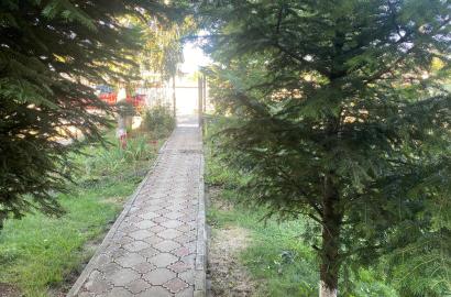 Casa P+1 230 MP Calea Republicii Bacau