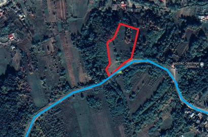 Teren 5000 mp Magura Bacau