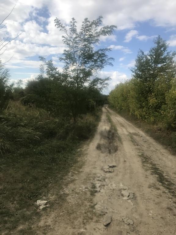 Teren intravilan 2200 MP Hemeius Bacau